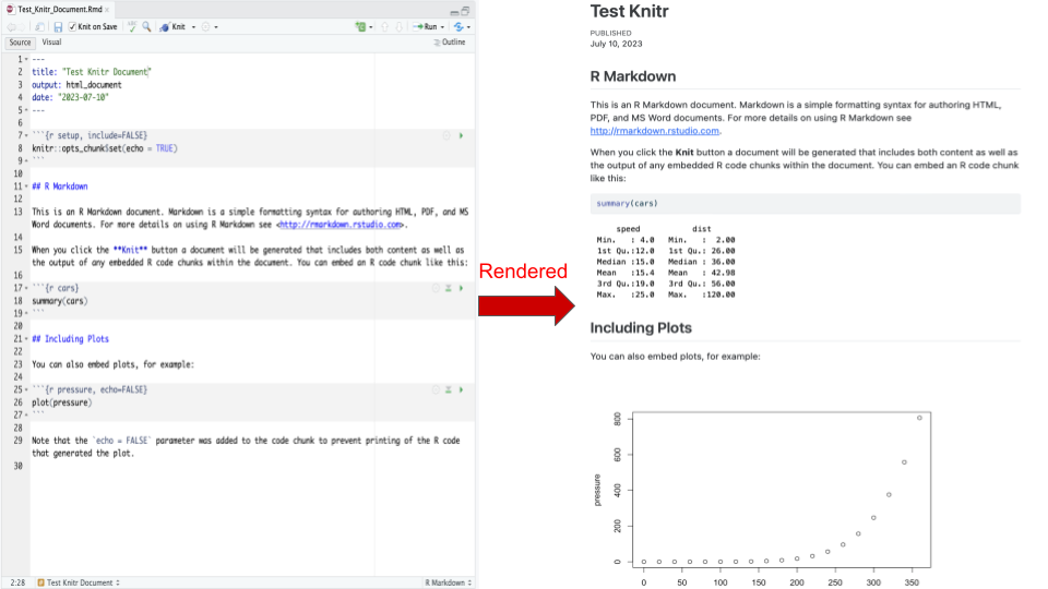 Knitr rendered Rmd file